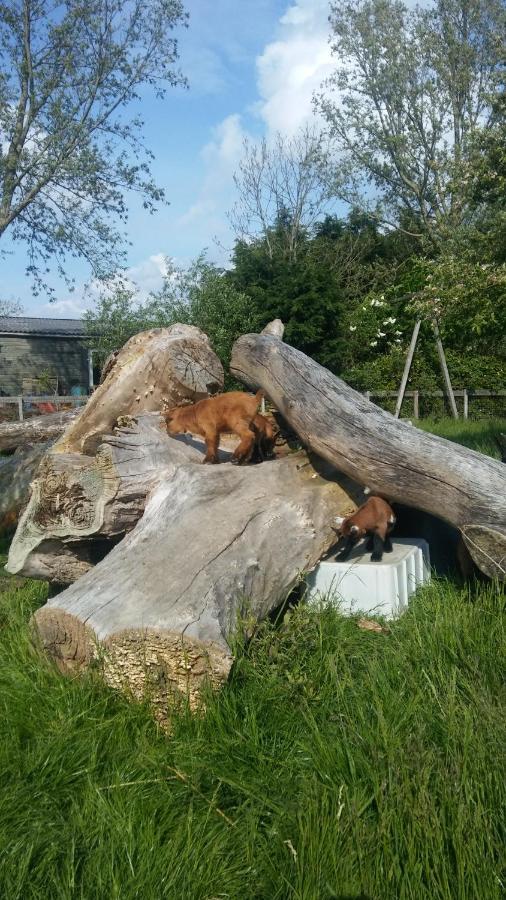 Boerenskuur De Bedstee Groen Assendelft Екстериор снимка