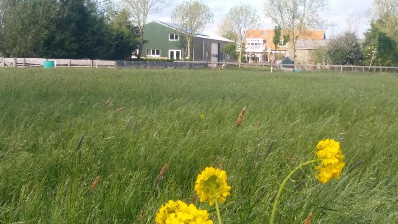 Boerenskuur De Bedstee Groen Assendelft Екстериор снимка