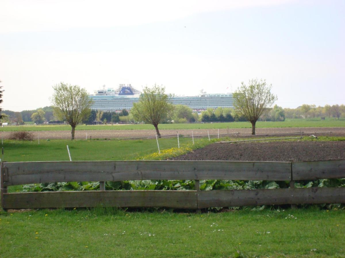 Boerenskuur De Bedstee Groen Assendelft Екстериор снимка